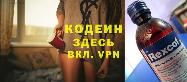 трава Снежногорск