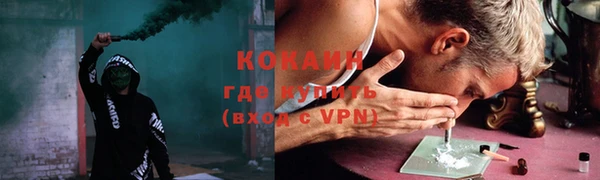 трава Снежногорск