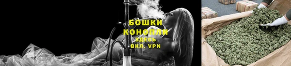 трава Снежногорск