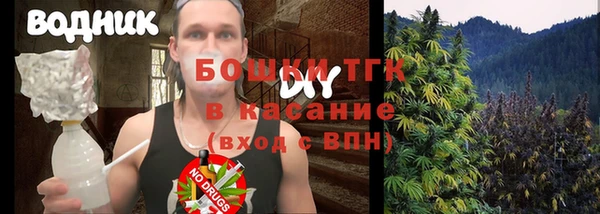 трава Снежногорск