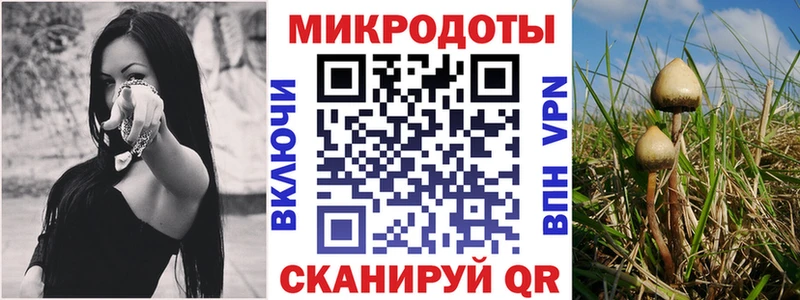 Псилоцибиновые грибы Cubensis  где найти   blacksprut маркетплейс  Оренбург 